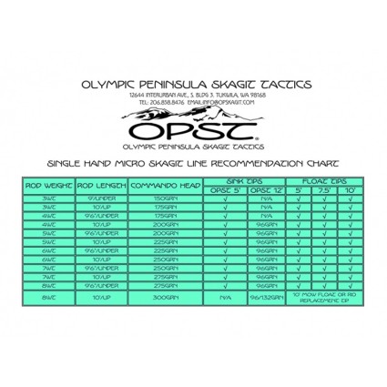 Стреляющая голова OPST Skagit Commando Head Float 475gr фото 4