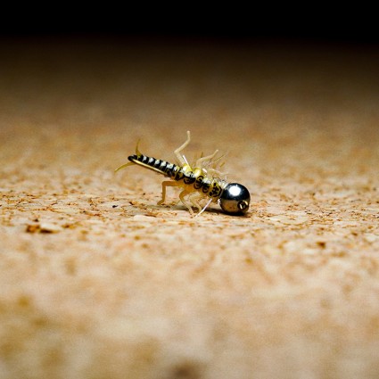 Муха нахлыст TFF SL Stone Fly Nymph #8 Tungsten 5.5mm 1.5g Pale Blue Dun/Natural Back фото 1