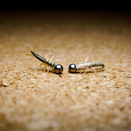 Муха нахлыст TFF SL Stone Fly Nymph #8 Tungsten 5.5mm 1.5g Pale Blue Dun/Natural Back фото 3