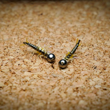 Муха нахлыст TFF SL Stone Fly Nymph #8 Tungsten 5.5mm 1.5g Pale Blue Dun/Natural Back фото 4