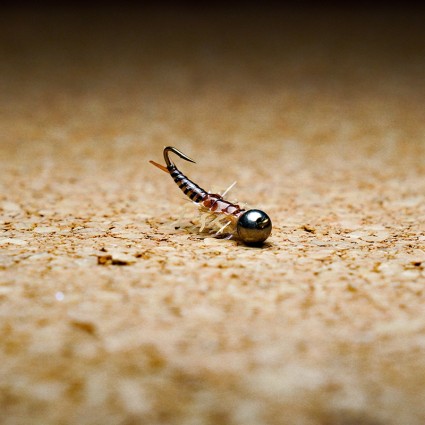 Муха нахлыст TFF SL Stone Fly Nymph #8 Tungsten 4.5mm 1g Pale Blue Dun/Lt Brown Back фото 2