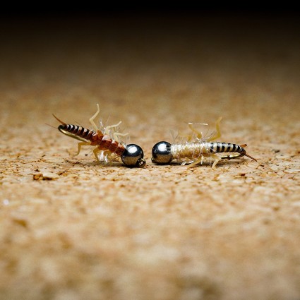 Муха нахлыст TFF SL Stone Fly Nymph #8 Tungsten 4.5mm 1g Pale Blue Dun/Lt Brown Back фото 3