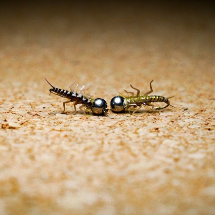 Муха нахлыст TFF SL Stone Fly Nymph #10 Tungsten 5.5mm 1.5g Litchen фото 2