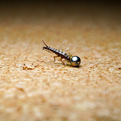 Муха нахлыст TFF SL Stone Fly Nymph #10 Tungsten 4.5mm 1g Litchen фото 1