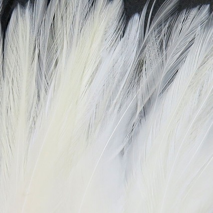Перо Hareline Strung Chinese Saddle Hackle 5-7'' #377 White фото 1