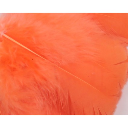 Перо Hareline Intruder Feather Prop Hackle #343 Shrimp Pink фото 1