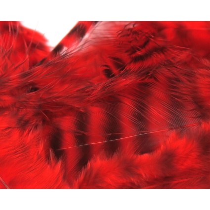Перо Hareline SR UV2 Grizzly Soft Hackle #095 Red фото 1