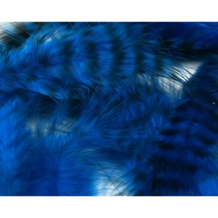 Перо Hareline SR UV2 Grizzly Soft Hackle #096 KingFisher Blue фото 1