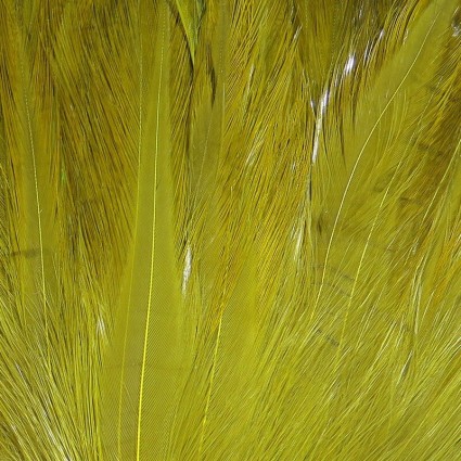 Перо петуха Hareline Saltwater Neck Hackle #263 Olive фото 1