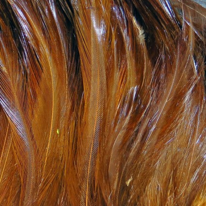 Перо петуха Hareline Saltwater Neck Hackle #114 Fiery Brown фото 1