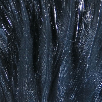 Перо петуха Hareline Saltwater Neck Hackle #11 Black фото 1