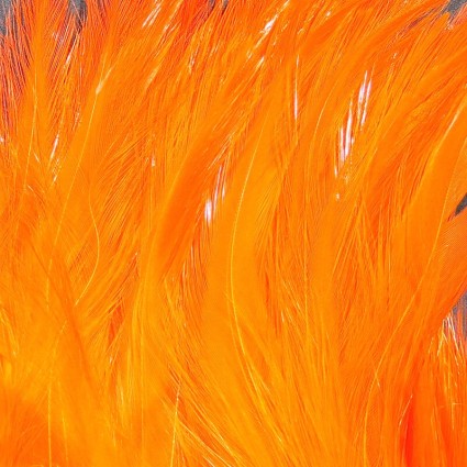 Перо петуха Hareline Saltwater Neck Hackle #187 Hot Orange фото 1