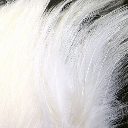 Перо петуха Hareline Saltwater Neck Hackle #377 White фото 1