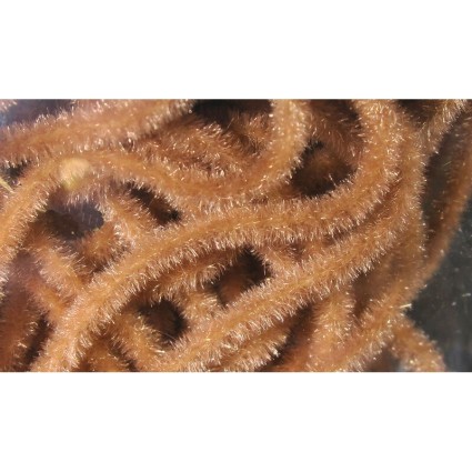 Синель Hareline Velvet Chenille Micro #382 Worm Brown фото 1