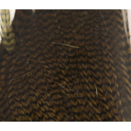 Скальп петуха Hareline Half Cape #177 Grizzly Olive фото 1