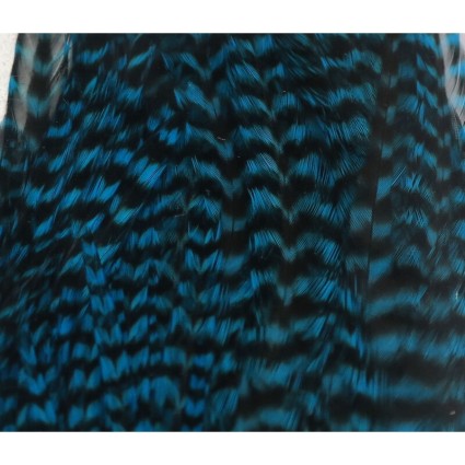Скальп петуха Hareline Half Cape #371 Grizzly Teal Blue фото 1