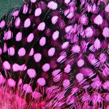 Перо цесарка Hareline Strung Guinea Feathers #188 Hot Pink фото 1