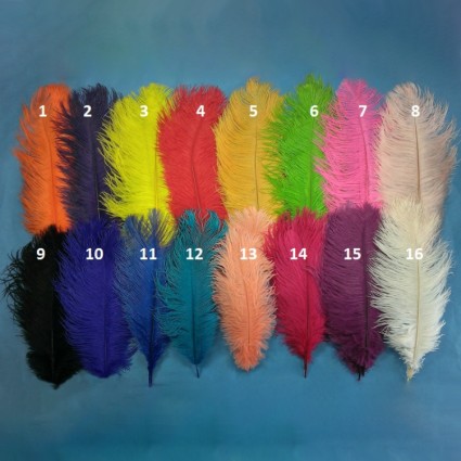 Перо страуса TFF Intruder Ostrich Black фото