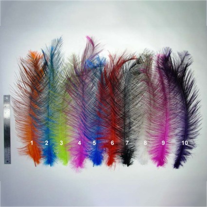 Перо нанду TFF Rhea Spey Hackle Custom Dyed Black 2pcs фото
