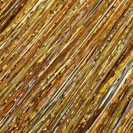 Флеш Future Fly Soft Star Flash Golden Yellow фото