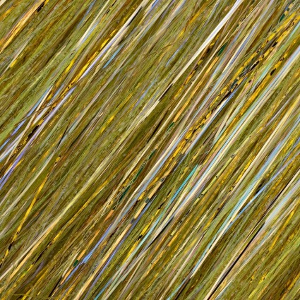 Флеш Future Fly Soft Star Flash Golden Olive фото