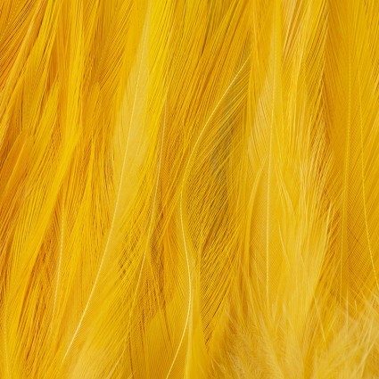Перо Future Fly Rooster Saddle Feather Banana Yellow фото