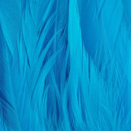 Перо Future Fly Rooster Saddle Feather Silver Doctor Blue фото