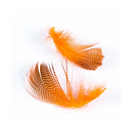 Перо Wapsi Teal Barred Flank Fl Orange фото