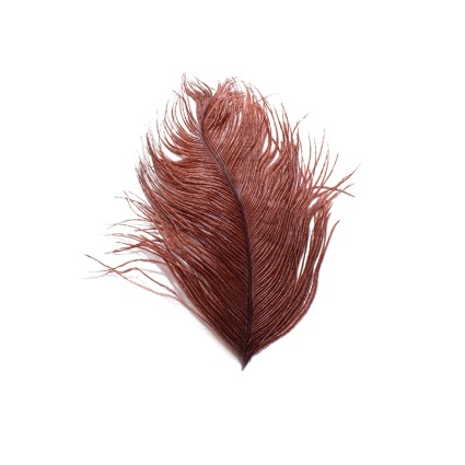 Перо Wapsi Ostrich Herl Brown фото