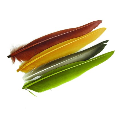 Перо Wapsi Duck Quill 2 Pair Dyed Gray фото