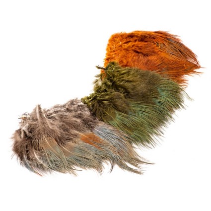 Перо фазана Wapsi Ringneck Rump Hackle Olive фото