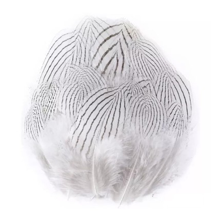 Перо фазан KS Silver Pheasant Natural 12pcs фото