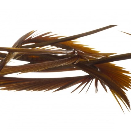 Биот Semperfli Natural Range Goose Biots Chinnamon фото