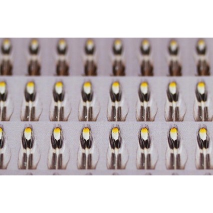 Глазки Future Fly Artificial Jungle Cock X-Small 48pcs фото 1