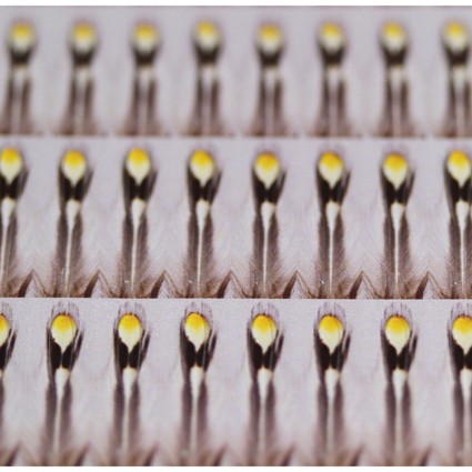 Глазки Future Fly Artificial Jungle Cock Medium/Small 48pcs фото 1