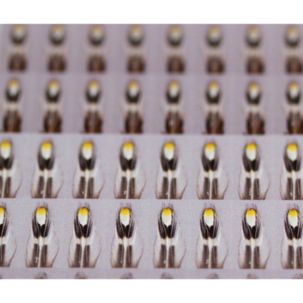 Глазки Future Fly Artificial Jungle Cock Small 48pcs фото 1