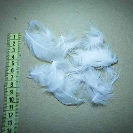 Перо цапля Fly Fishing Tales Heron Feather XS White 50pcs фото