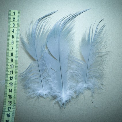 Перо цапля Fly Fishing Tales Heron Feather L Grey 10pcs фото