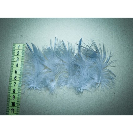 Перо цапля Fly Fishing Tales Heron Feather M Grey 10pcs фото