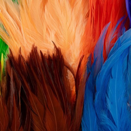 Перо Future Fly Rooster Saddle Feather Ginger фото