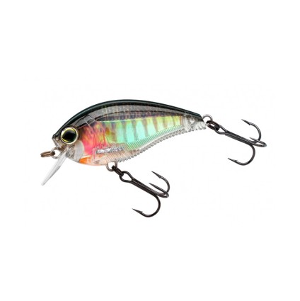 Воблер Yo-Zuri 3DB Crank 1.5 Squarebill 60F 14g R1352-RBG фото