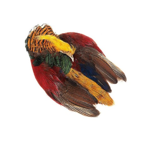 Шкура Фазана Wapsi Golden Pheasant Whole Skin фото